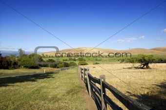 Rural Scene