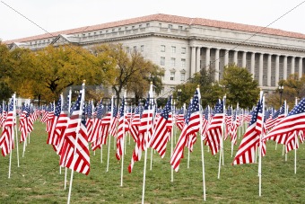 Flags on the Mall
