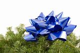 Blue bow and garland