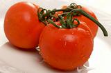 Fresh Red Tomatoes on White Plate