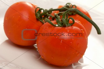 Fresh Red Tomatoes on White Plate