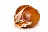 Roasted chestnut