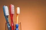 A Family's Toothbrushes