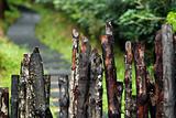wooden fence at the parks