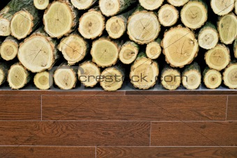 Wood and log