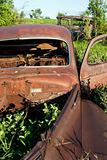 Overgrown Antique Car