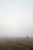 Prairie Fog Walk
