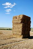Towering haystack