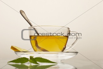 herbaceous tea