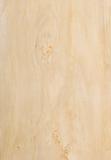 poplar wood texture