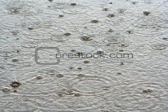 Rain Drops in the Water