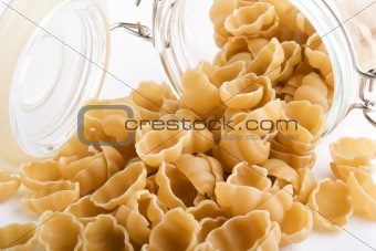 Sea Shell Pasta