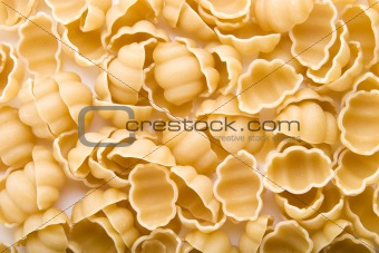 Sea Shell Pasta Background