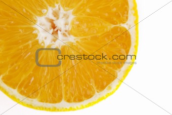Orange Slice Detail