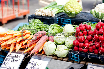 fresh healthy vegetables on market 