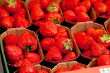 fresh delicious strawberries macro