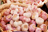 group of purple white garlic in basket macro