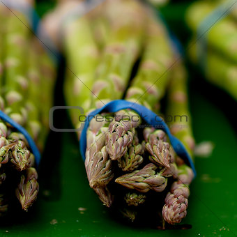 fresh seasonal asparagus on market 