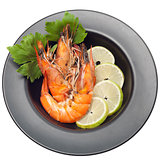 Grilled shrimp on plate isolated
