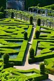 Villandry Castle's garden, Indre-et-Loire, Centre, France