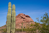 Arizona Desert Landscape Red Rocks with Cactus