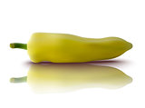 vector yellow pepper