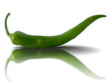 vector green pepper