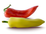 vector red and yellow peppers