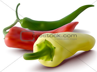 vector red, green and yellow peppers