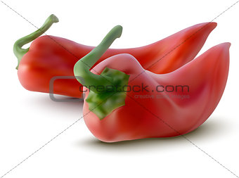 vector red peppers