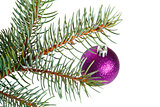 Violet ball on the Christmas tree