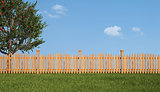 Wooden fence and apple tree