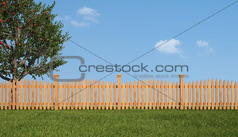 Wooden fence and apple tree