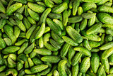 green cucumbers, background 