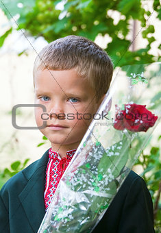 Portrait of nice little schoolboy
