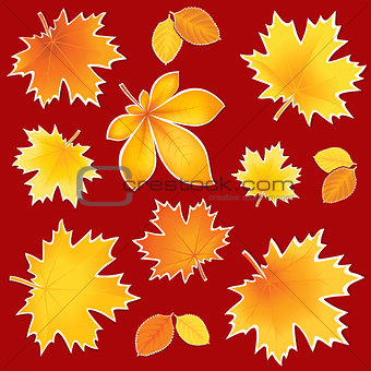 Collection autumn leaves