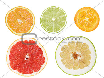 Set of cuts from citrus fruits