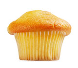 Lemon Muffin