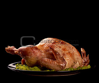 Roasted chicken on black background
