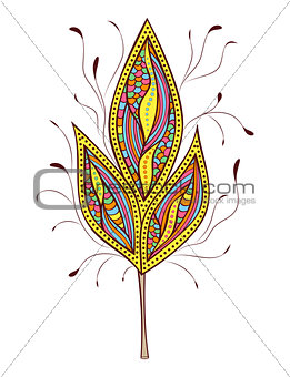 abstract colorfull  leaf on white background 