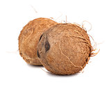 Two ripe coconut