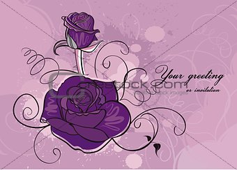 vector background with rose