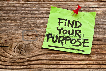 find your purpose reminder