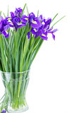 blue irise flowers posy in vase