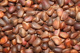 Siberian pine nuts