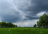   Bad weather in forest-steppes