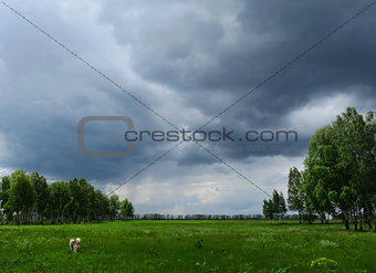   Bad weather in forest-steppes