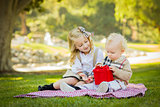 Little Girl Gives Her Baby Brother A Gift at Park 