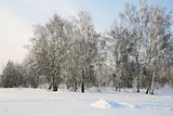 sunlight Winter park in snow