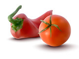 vector illustration of red tomatoe and red pepper